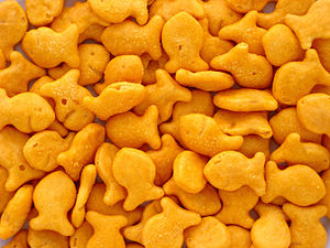 Amy Spooner decided to give away 26 bags of Goldfish crackers to honor the shooting victims of Newtown, Conn.